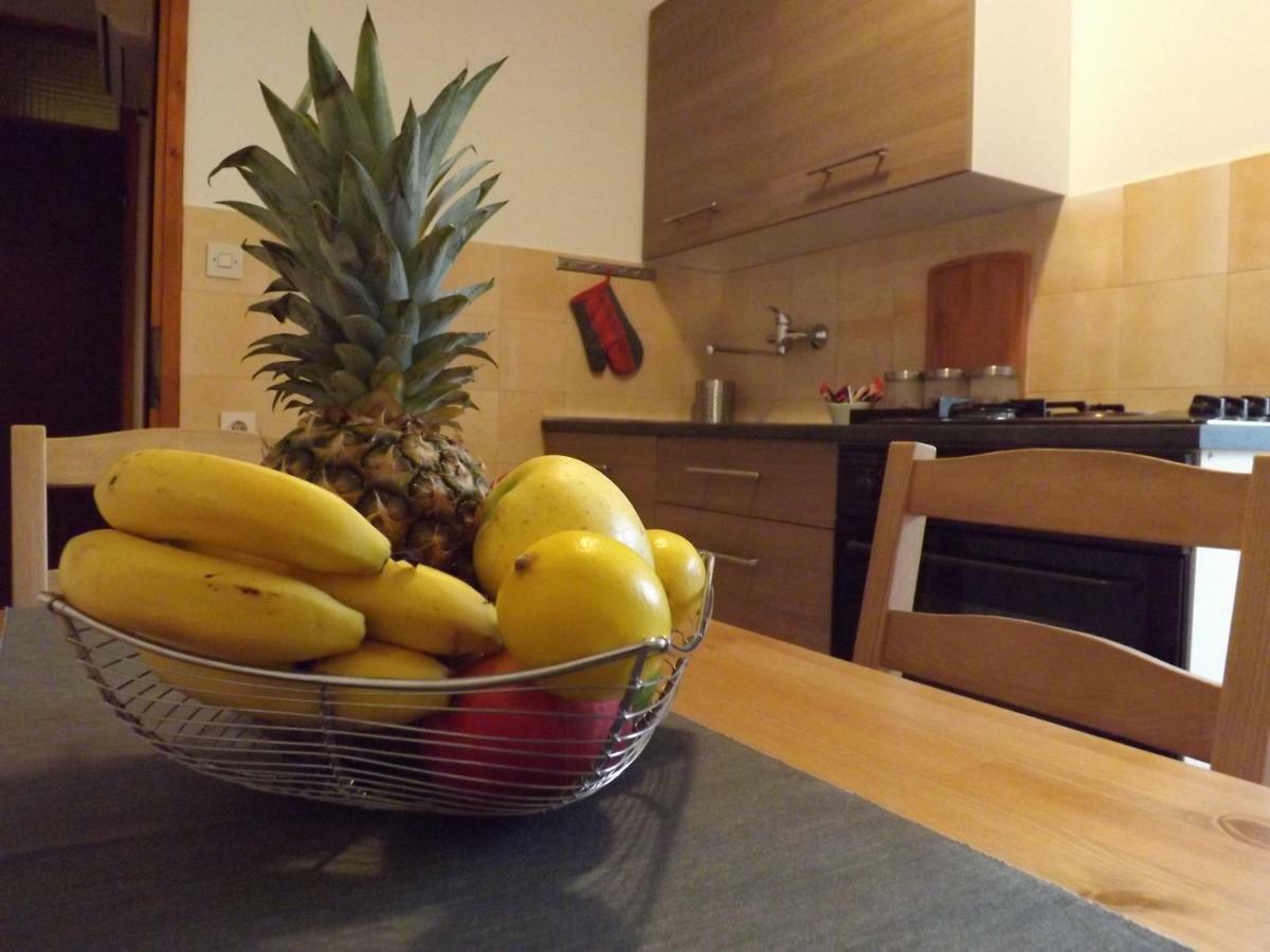 Novigrad Istria Apartments Pepe מראה חיצוני תמונה